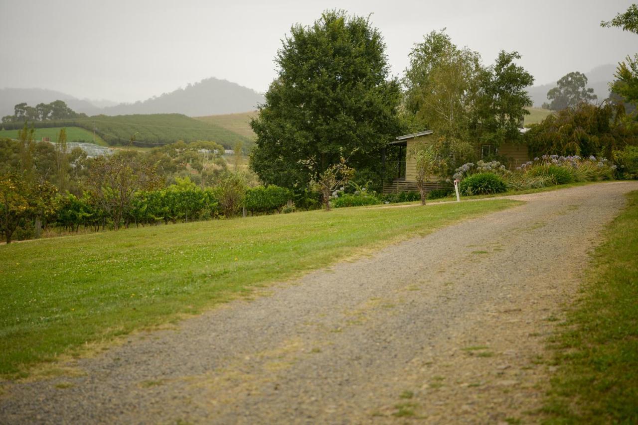 Borrodell Vineyard Hotel Orange Eksteriør billede