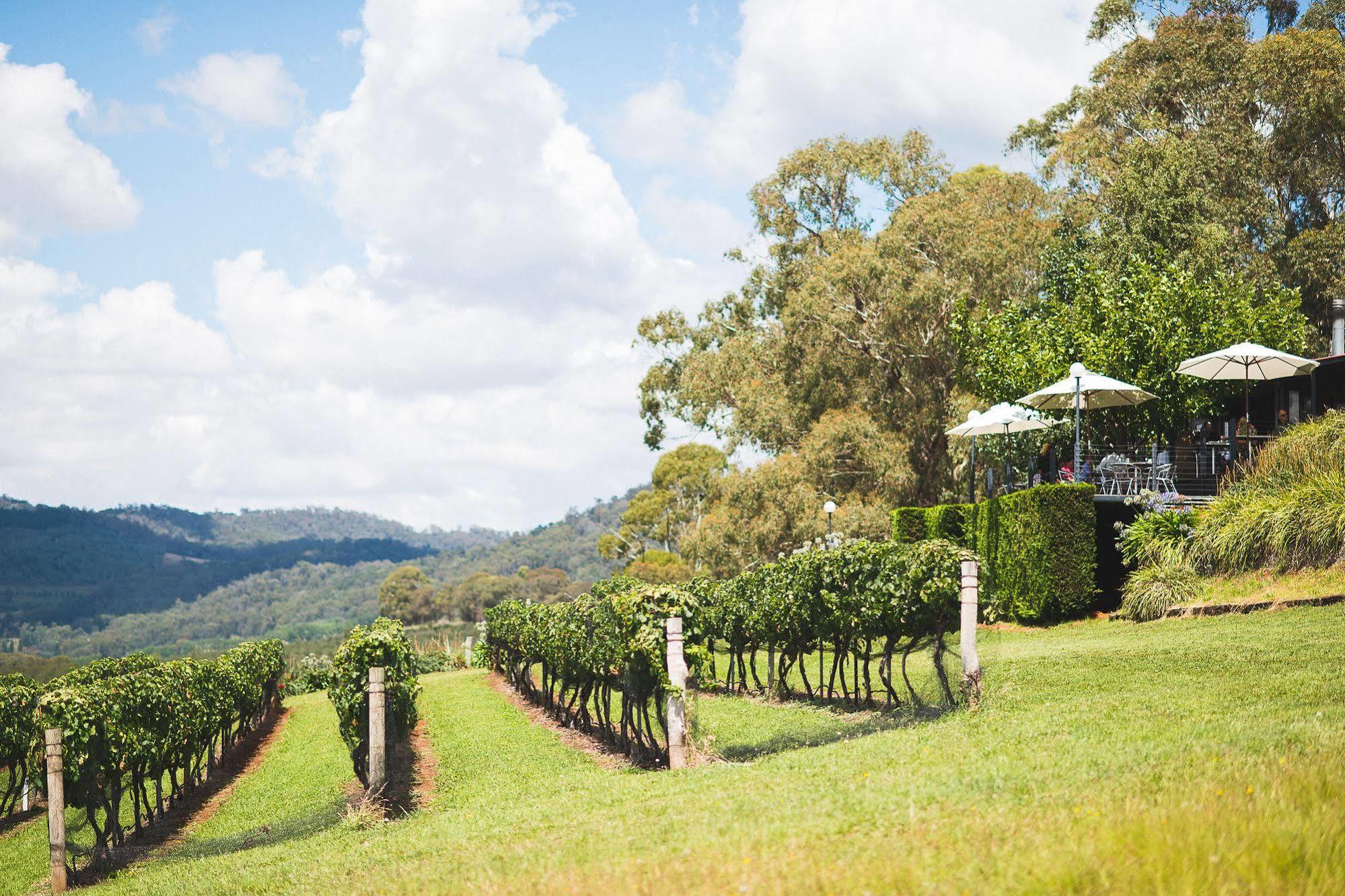 Borrodell Vineyard Hotel Orange Eksteriør billede