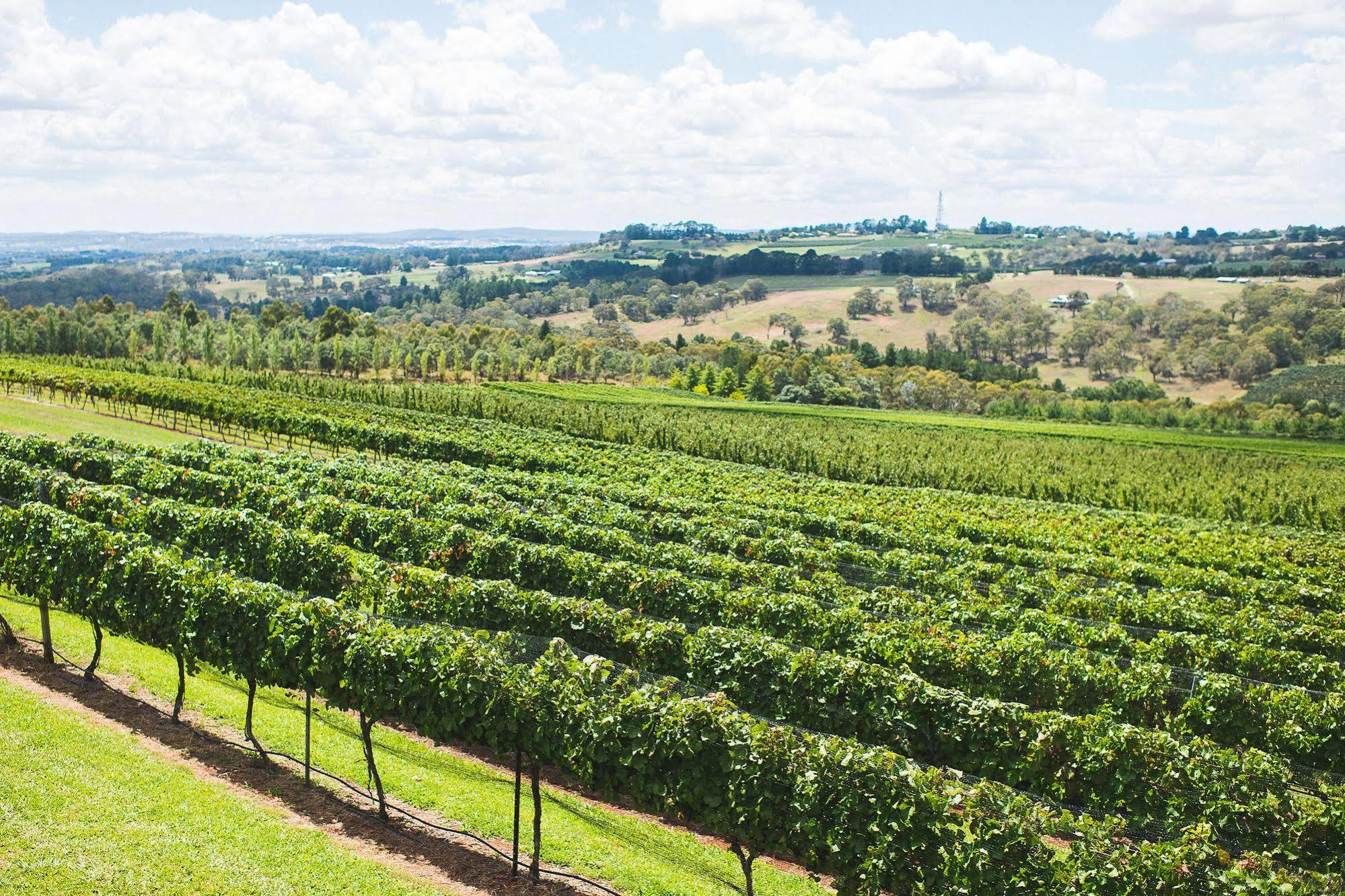Borrodell Vineyard Hotel Orange Eksteriør billede